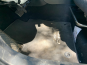 Toyota ►►HONORARIOS GRATIS ◄◄Toyota C-HR 1.8 125H Advance 122CV - Accidentado 22/38