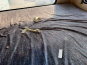 Peugeot (SN) J5 69CV - Accidentado 53/62